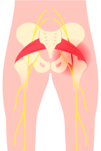 išiadni_živec Išias anatomski prikaz